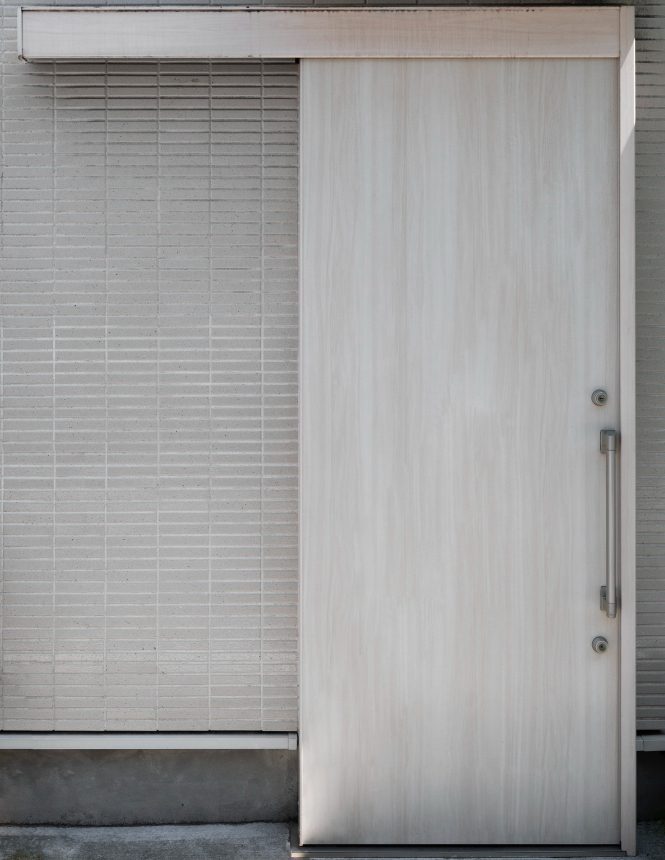 flush door